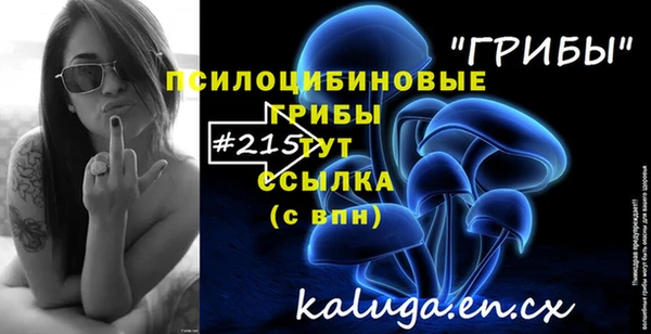 амф Алексин